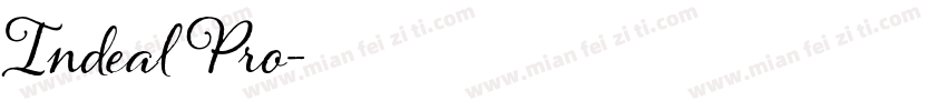 Indeal Pro字体转换